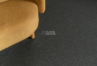 Haima Atom 06 Graphit фото 2 | FLOORDEALER